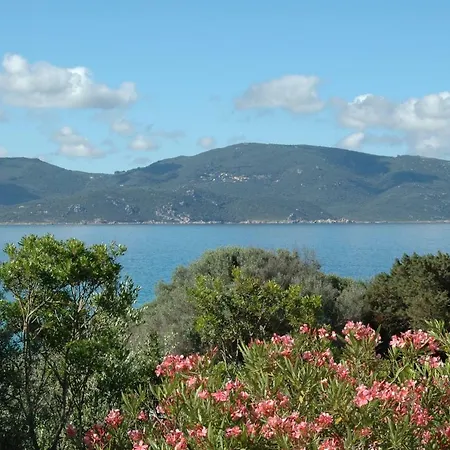 Capicciolo Villa Olmeto (Corsica)