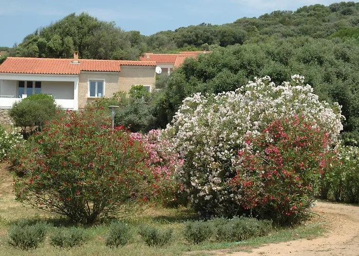 Capicciolo